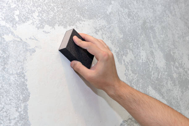 Best Mold Prevention Services  in Manitou Beach Devils Lake, MI