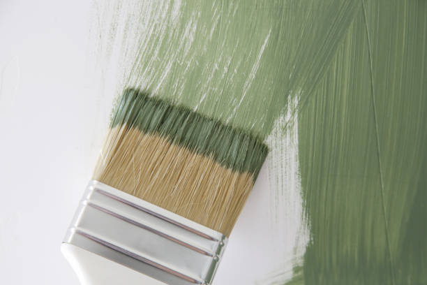 Professional Mold Removal in Manitou Beach Devils Lake, MI