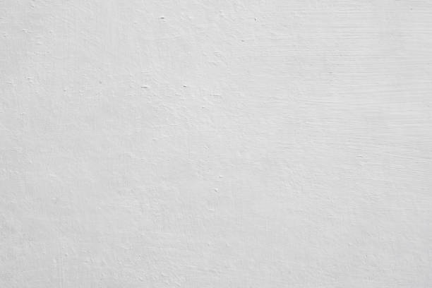 Best Mold Damage Restoration  in Manitou Beach Devils Lake, MI