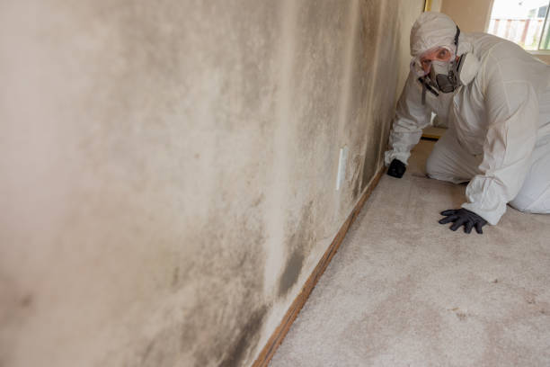 Best Crawl Space Mold Remediation  in Manitou Beach Devils Lake, MI