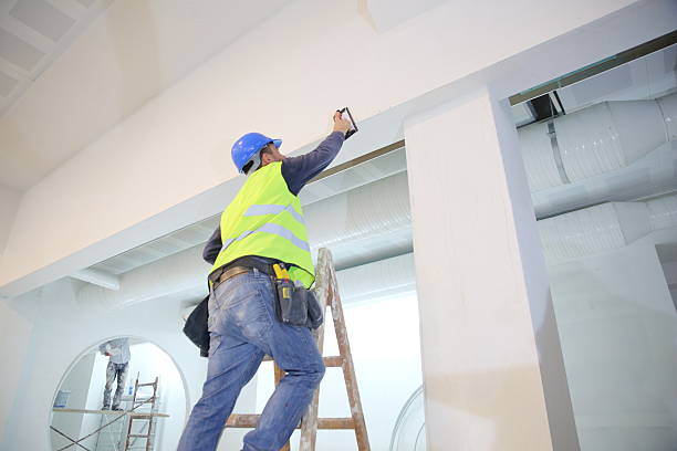 Trusted Manitou Beach Devils Lake, MI Mold Removal Experts