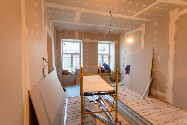 Best Water Damage & Mold Remediation  in Manitou Beach Devils Lake, MI